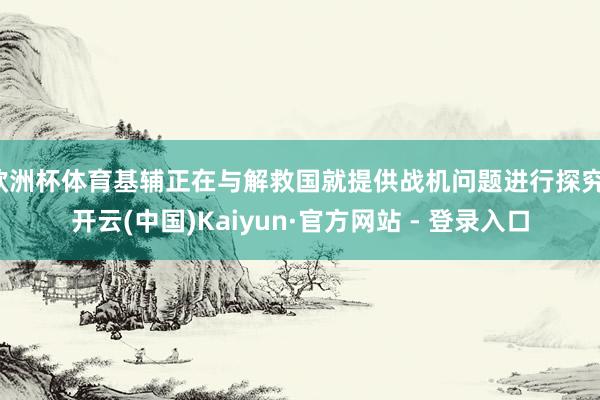 欧洲杯体育基辅正在与解救国就提供战机问题进行探究-开云(中国)Kaiyun·官方网站 - 登录入口