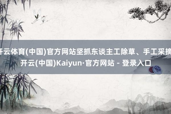 开云体育(中国)官方网站坚抓东谈主工除草、手工采摘-开云(中国)Kaiyun·官方网站 - 登录入口