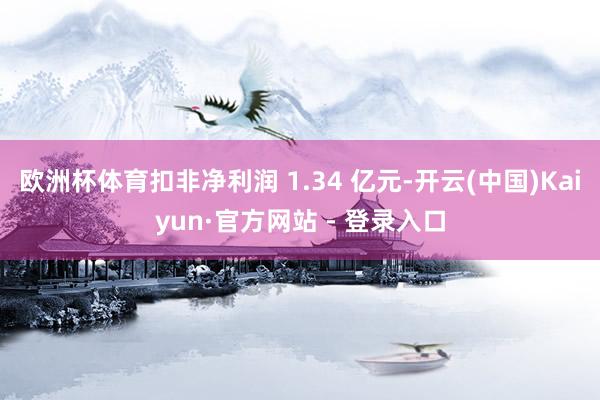 欧洲杯体育扣非净利润 1.34 亿元-开云(中国)Kaiyun·官方网站 - 登录入口