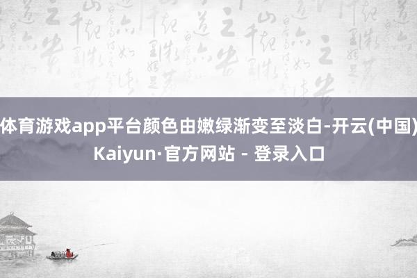 体育游戏app平台颜色由嫩绿渐变至淡白-开云(中国)Kaiyun·官方网站 - 登录入口