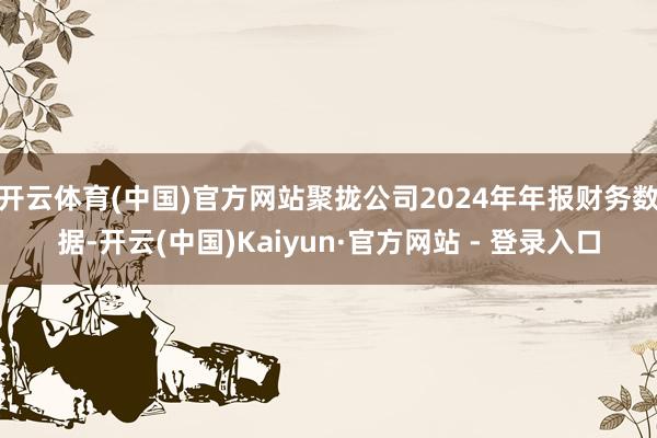 开云体育(中国)官方网站聚拢公司2024年年报财务数据-开云(中国)Kaiyun·官方网站 - 登录入口