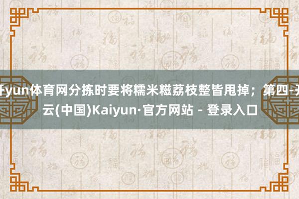 开yun体育网分拣时要将糯米糍荔枝整皆甩掉；第四-开云(中国)Kaiyun·官方网站 - 登录入口