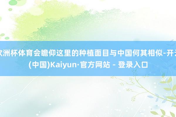 欧洲杯体育会瞻仰这里的种植面目与中国何其相似-开云(中国)Kaiyun·官方网站 - 登录入口